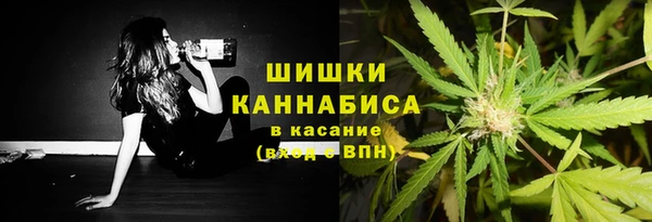 ПСИЛОЦИБИНОВЫЕ ГРИБЫ Новозыбков