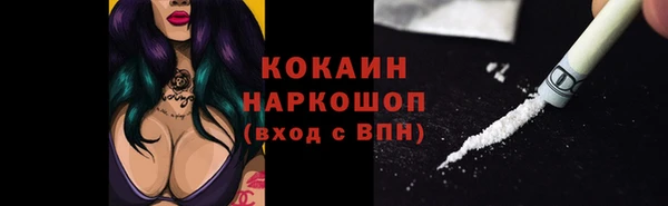 дживик Новодвинск