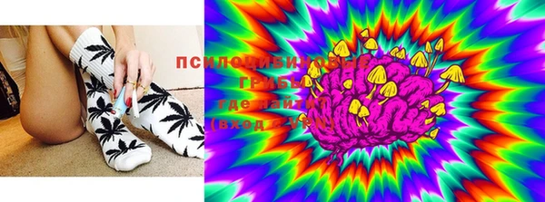 ПСИЛОЦИБИНОВЫЕ ГРИБЫ Нея