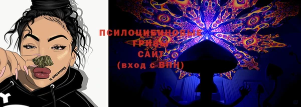 ПСИЛОЦИБИНОВЫЕ ГРИБЫ Новозыбков