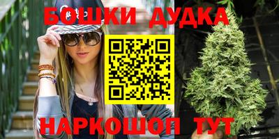2c-b Кингисепп