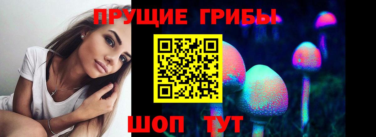 Шахты  Галлюциногенные грибы Psilocybe  продажа наркотиков  Галлюциногенные грибы Magic Shrooms  Вход с VPN 
