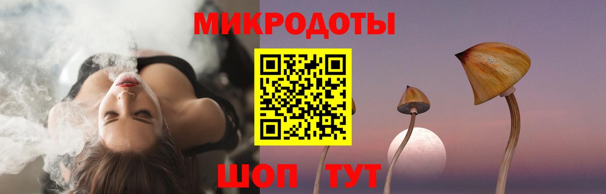 Псилоцибиновые грибы Psilocybine cubensis Шахты